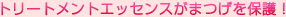 g[ggGbZX܂یI
